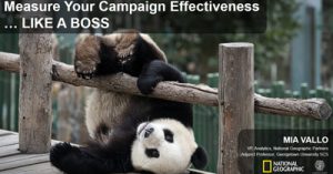How-to-Measure-the-Effectiveness-of-Your-Marketing-and-Social-Campaigns-Like-a-Boss-dc19