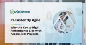 Persistently-Agile-Why-the-Key-to-High-Performance-Marketing-Lies-with-People-Not-Projects-dsathome-2020