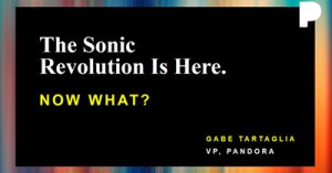 So-Youve-Joined-the-Sonic-Revolution-Now-What-la19