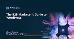 The-B2B-Marketers-Guide-to-WordPress-dsahmay21