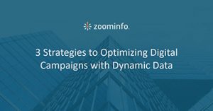 Three-New-Strategies-for-Optimizing-Your-Digital-Campaigns-with-Dynamic-B2B-Data