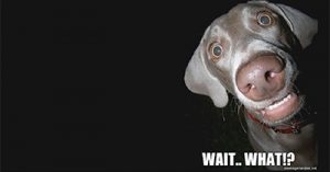 a-look-back-at-the-best-marketing-of-2018-this-is-not-a-typo-internet-summit-2017