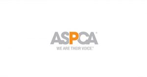 build-social-media-campaigns-that-generate-social-and-traditional-media-success-chicago-2017