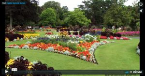 customer-first-amanda-nelson