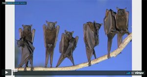 good-content-vs-good-enough-content-a-fight-for-sore-eyes-minneapolis-2017