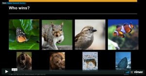 sales-gone-social-mandy-lin-phoenix-2017