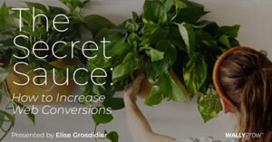 the-secret-sauce-how-to-increase-web-conversions-phi23
