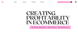 creating-profitability-for-your-ecommerce-efforts-lv24