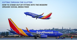 cutting-through-the-clutter-den24