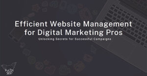 efficient-website-management-den24