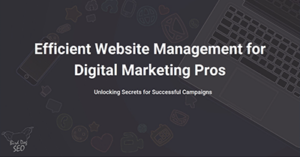 efficient-website-management-dc24