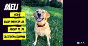 unlocking-customer-insights-dc24