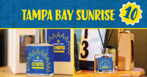 visit-tampa-bays-cmo-tam25